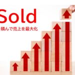 【2024年最新】ebayでsoldを積み上げる在庫設定方法を詳しく解説！メリットとデメリットも紹介